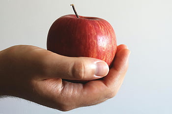 piros alma, közeli fotó, kezében alma, érett alma, Az egészséges táplálkozás, frissesség, közeli kép, piros gyümölcs, Alma a kezében, friss alma, egészséges étel