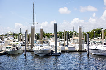 boats, marina, water, harbor, leisure, nautical, ship, transportation, luxury, ocean, yacht