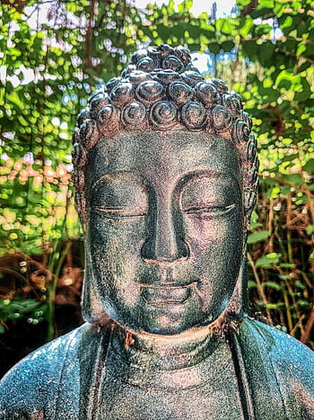 Buddha, tao, jóga, sociální péče, rozjímání, relaxovat, Buddha Purnima, zen, držení těla, zdraví, čakra