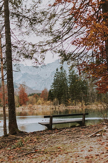 Holzbank, Seeufer, Herbstszene, friedliche Umgebung, Bank am See, Gebirgshintergrund, Herbstlaub, Serene Landschaft, Naturfotografie, Außenberuhigung, szenische Ansicht