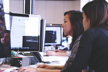 Kvinder, computer, overvåge, kontor, arbejder, samarbejde, skrivebord, teknologi, professionel, arbejdsplads