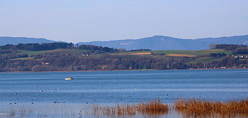 regionen av innsjøen murten, panorama, båt, fjellene, siv, Sveits, natur, bakgrunn