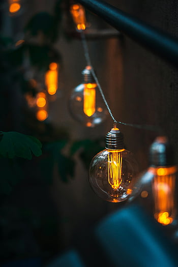 edison žárovky, zářící světla, vřelá atmosféra, zavěšený drát, Útulná scéna, ročník osvětlení, řetězec světla, vnitřní dekor, měkké osvětlení, dekorativní žárovky, teplý záře