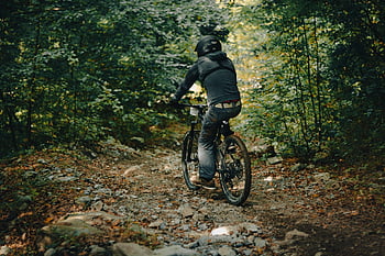 sentiero in sella, giro in bicicletta, foresta, ciclista, bicicletta, boschi, pista, natura, strada, nikon, sport