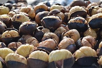 chestnut, marron, nuts
