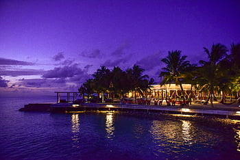 plage, la nuit, station tropicale, crépuscule, palmiers, océan, une vue à couper le souffle, paysage du soir, front de mer, destination de luxe, atmosphère sereine