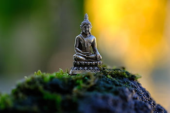 statue, Bouddha, méditation, bouddhisme, religion, Zen, spirituel, Foi, spiritualité, Bouddha Purnima, budha
