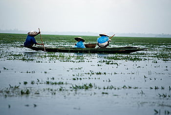 pescatori, abbigliamento tradizionale, pesca, zone umide, Sunamganj, bangladesh, uomini, barca, corpo d'acqua, pesca tradizionale, pesca delle zone umide
