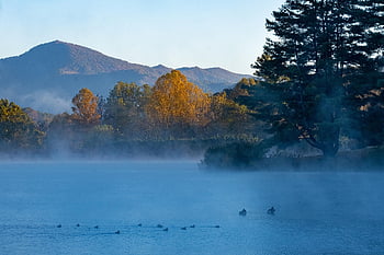 lake, fog, mountains, sunrise, dawn, morning, mist, water, trees, mountain Range, scenery