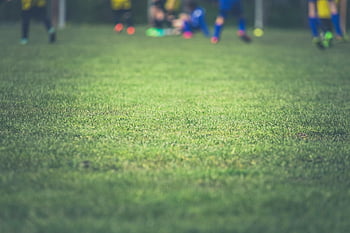 fotbalové hřiště, rozmazané fotbalové hráče, během dne, tráva, venkovní hra, sportovní aktivity, týmový sport, mládí, akce, zdatnost, hnutí