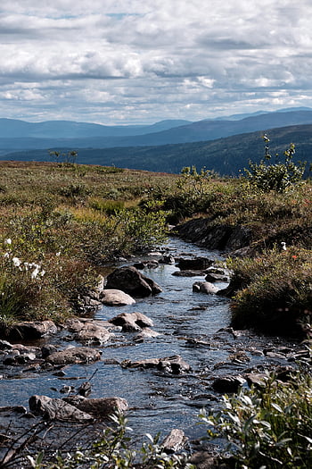 podzim, Švédsko, poráží, hory, turistika, trekking, venku, voda, Příroda, krajina