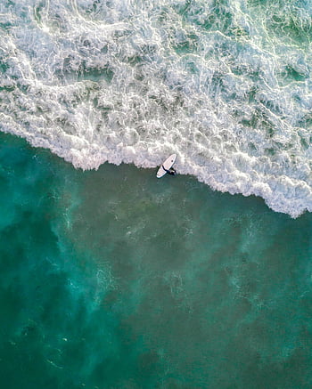 σέρφινγκ, παραλία Bondi, εναέρια βολή, surfer, κυματιστά, Αυστραλία, ωκεανός, σανίδα του σέρφιν, παραλιακός, παραλία, θαλάσσιο σπορ