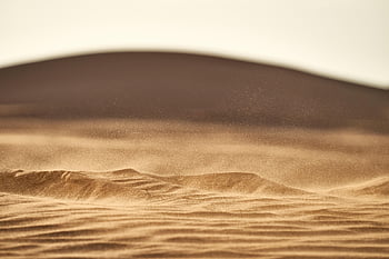 sand, dune, sahara, nature, travel, desert