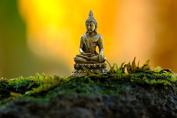 Bouddha, Bouddha Purnima, statue, religion, bouddhisme, paix, méditation, spirituel, budha