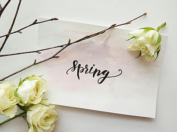 spring-themed card, elegant hand lettering, white roses, romantic touch, delicate design, spring decoration, floral arrangement, romantic card, white printed paper, spring flowers, romantic flowers