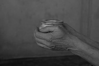 hands, black And Wite, coffee Cup, pitcher, floors, jug, plant, yard, green, flower, flower Background