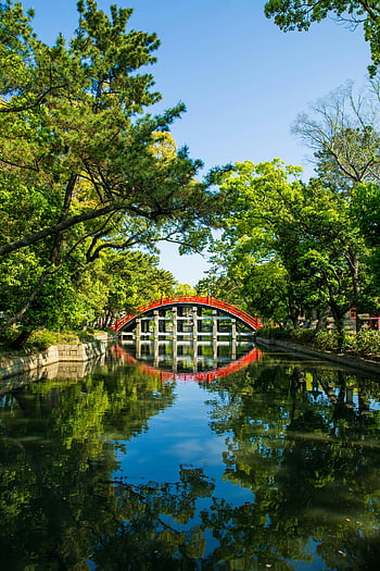 Vecchio ponte asiatico, canale, alberi di vegetazione, ponte rosso, acque tranquille, vegetazione lussureggiante, Giappone, vista panoramica, riflessione, natura, paesaggio