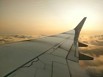 aerei volanti, ala di aereo, sopra le nuvole, tramonto, serenità di volo, vista aerea, cielo, viaggio, aviazione, aereo, orizzonte