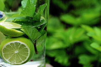 máta, máta peprná, detox, detoxikační voda, voda, Limetka, zdraví, bylinné rostliny, napít se, léčivé rostliny, léčivé byliny