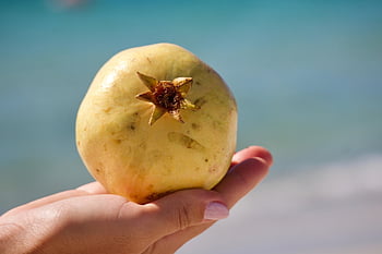 granátové jablko, ovoce, jídlo, vyrobit, organický, vitamíny, výživa, ruka, detailní