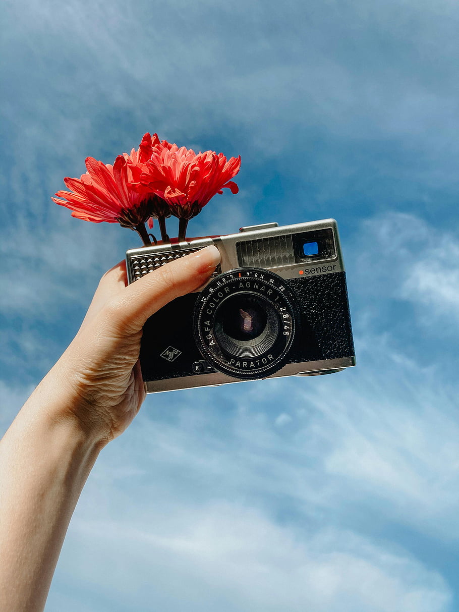 vinobraní fotoaparát, červené květy, modrá obloha, Retro fotoaparát, kvetoucí květina, ruční holdingová kamera, AGFA barva, Parator, venkovní fotografie, klasický fotoaparát, květinové fotografie