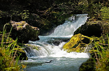 water, mountain Stream, roaring, nature, hike, landscape, green, waterfall, stream, forest
