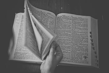 ดำและขาว, ใกล้ชิด, มือ, พลิก, เปิดพจนานุกรม, หนังสือ, การอ่าน, ขาวดำ, ทางการศึกษา, ศึกษา, วรรณกรรม