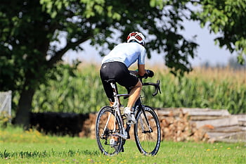 cyclist, bicycle, to Go Biking, road Bike, sports, leisure Time, trees, leaves, professional Road Bicycle Racer, nature, racing