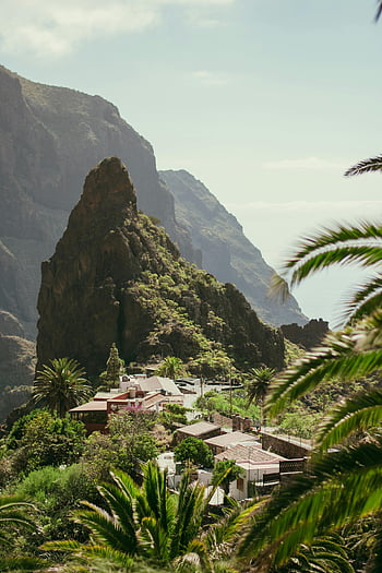 Masca Village, tenerife, Kanárské ostrovy, Španělsko, malebná krajina, horský výhled, tropické scenérie, palmy, Venkovské prostředí, cíl cesty, Přírodní krásy
