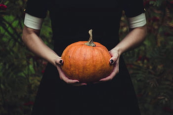 pumpkin, Halloween, outdoor foliage, bright orange, person holding, Halloween themes, autumn, fall, nature, harvest, seasonal