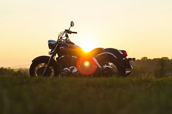 black cruiser motorcycle, parked motorcycle, grass field, sunset scene, outdoor motorcycle, motorcycle photography, black motorcycle, cruiser bike, grassy field, motorcycle sunset, motorbike outdoors