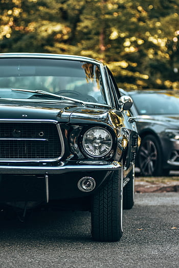 klasik mustang, Vintage Ford Mustang, Siyah Mustang, park etmiş araba, dış mekan ayarı, yapraklı arka plan, önden görünüş, klasik araba, eski model araba, Ford Mustang, siyah araba