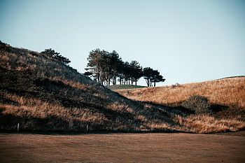 france, mountain, trees, landscape, sunset, etretat, scenery, nature
