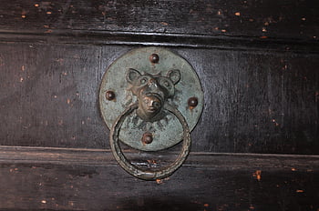 klepadlo, starý, kov, dřevo, dřevěný, zámek, lev, ornament, vlastnictví, styl, antický