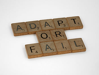 scrabble dlaždice, Přizpůsobit nebo selhat, motivační poselství, bílé pozadí, detailní záběr, scrabble hra, inspirativní citát, dřevěné dlaždice, Koncept přizpůsobivosti, Koncept selhání, motivační dlaždice