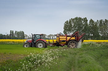 agricoltura, trattore, veicolo agricolo, paesaggio, Macchina di spruzzatura, contadino, fiori di colza, campo di colza, assassino dell'erbaccia, spruzzatura, coltivazione