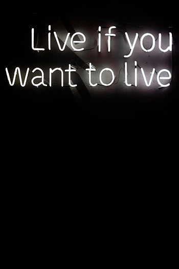 neon sign, illuminated signage, empowering quote, dark background, neon lighting, motivational message, black backdrop, glowing text, inspirational sign, neon art, night decor