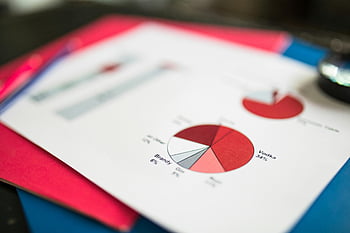 wykres kołowy, Dane finansowe, kolorowy papier, analiza danych, zdjęcie zbliżenie, Finansowa wykres kołowy, Wizualizacja wykresu, Dane biznesowe, spożycie alkoholu, wódka, Brandy