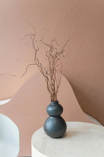 Moderne keramische vaas, droge plant, minimalistische esthetiek, Pastel -achtergrond, indoor decor, takjes, tafel, eigentijds ontwerp, artistieke arrangement, interieurdecoratie, zwarte vaas