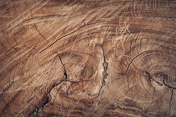 brown wood surface, textured wood, natural patterns, grain details, close-up wood, wooden texture, brown wooden surface, wood grain, natural wood, wood patterns, brown wood