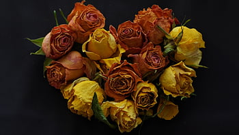 heart, dried Flowers, sorrow, love, farewell, funeral, black Background, grief, trauerkarte, heartfelt Condolences, i Love You Mom