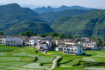 rural Area, in Rice Field, rice Terraces, countryside, mountain, hills, guizhou, guiyang, huaxi, nature, gaopo Township