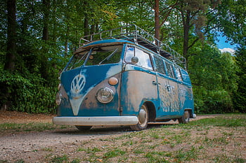 vw, bulli, přepravce, volkswagen, autobus, kult, klasický, kempování, Příroda, automobil, tapety na plochu