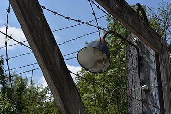 konzentrationslager, dachau, Dějiny, kz, minulost, památník, koncentrační tábor, vražda, bavaria, Německo, pamětní
