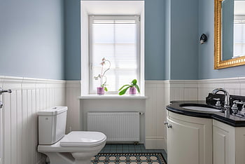 Badezimmer, blaue Wände, schwarze Arbeitsplatte, Orchideenpflanze, weiße Schränke, Fenster, Toilette, modernes Design, stilvoller zeitgemäß, Innenarchitektur, Komfortzimmer