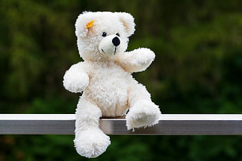 Medvídek, vycpané zvíře, měkká hračka, hračka, plyš, útulný, roztomilý, načechraný, teddy