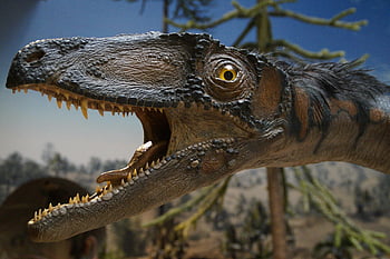 brown dinosaur, green tree, museum exhibit, dinosaur replica, close-up, display, prehistoric, reptile, paleontology, exhibit, nature