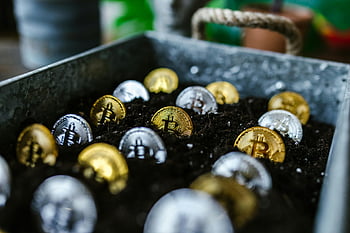 bitcoin, bitcoins enterrados, moneda digital, crecimiento de la inversión, fotografía de cerca, suelo, monedas, criptomoneda, monedas enterradas, símbolo de inversión, inversión digital