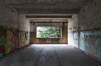 ruin bygning, graffiti kunstværker, forladte bygning, Graffiti-dækkede vægge, skovudsigt, dagtimerne, indvendig udsigt, urban forfald, gadekunst, forladt struktur, graffiti kunst