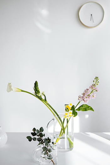 Květiny na čirých vázách, Elegantní květinové uspořádání, skleněné vázy, bílé pozadí, minimalistický design, čiré skleněné vázy, květinový displej, moderní dekor, jednoduché květy, bílé květy, zelené listy
